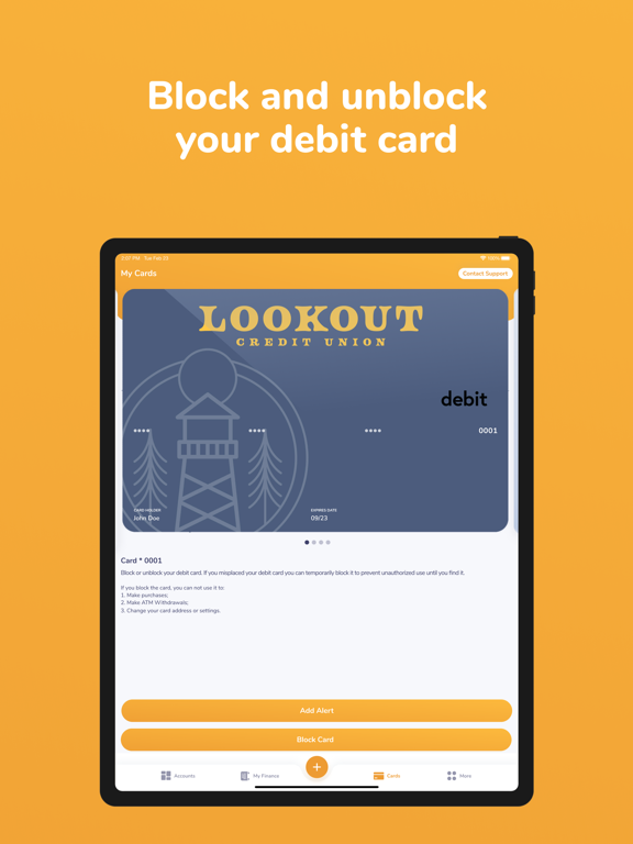 Lookout CU iPad screenshot 3 - Finance app