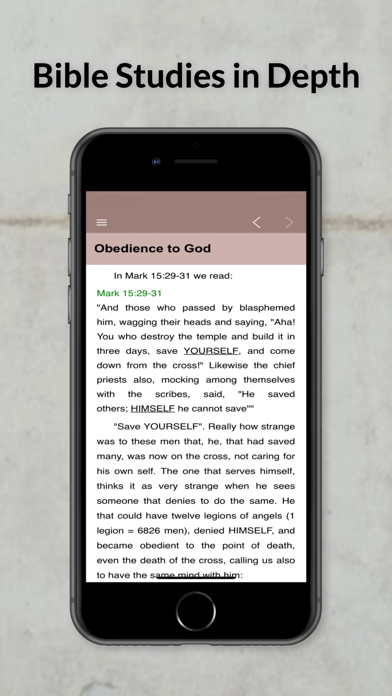 Bible Studies in Depth Daily Screenshot