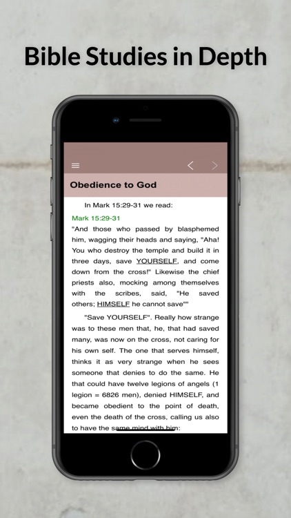 Bible Studies in Depth Daily screenshot-5