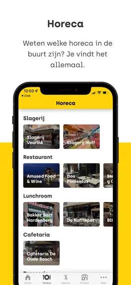 Game screenshot Winkelstad Hardenberg hack