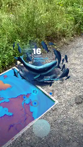 Game screenshot Ocean Week Canada mod apk