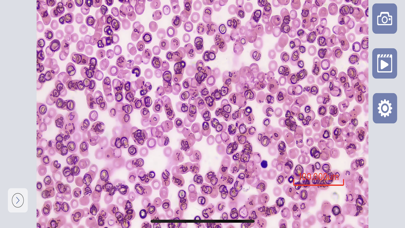 Screenshot 1 of SunnyScope App