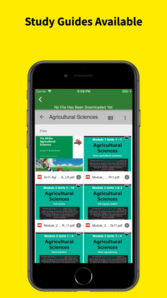 Grade 11 Exam Papers