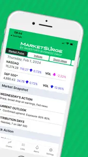 marketsurge - stock research iphone screenshot 2