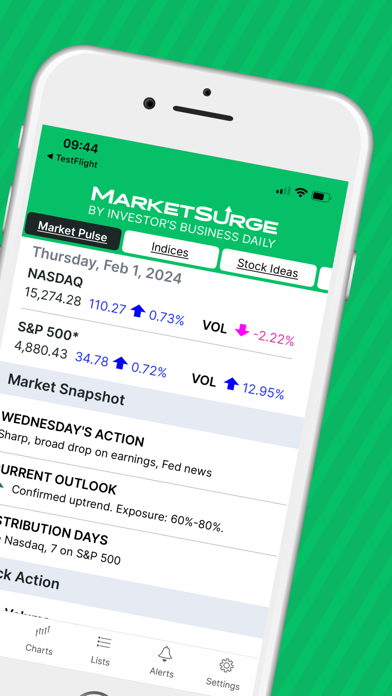 MarketSurge - Stock R... screenshot1