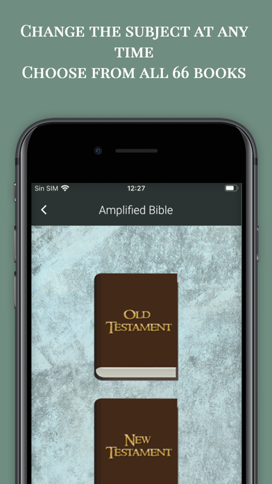 Amplified Bible Study Offline Screenshot