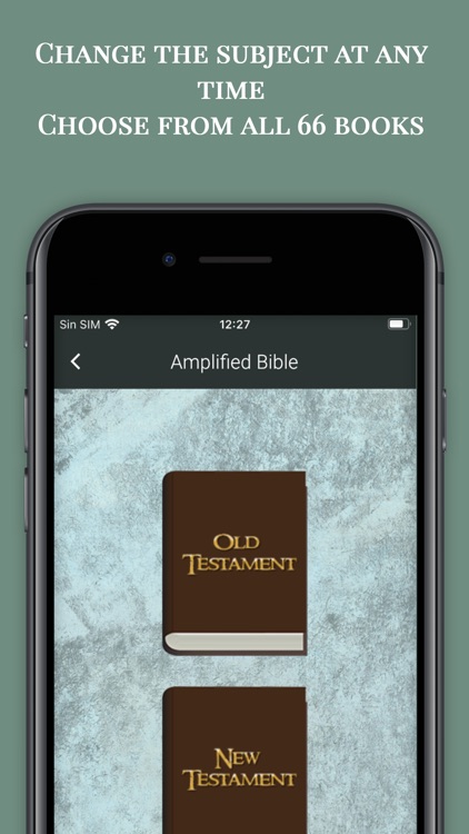 Amplified Bible Study Offline