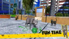 Game screenshot Cat Family Simulator Game hack
