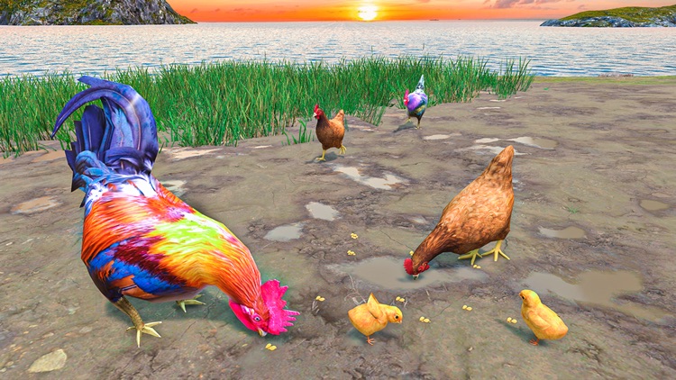 Wild Rooster Chicken Simulator