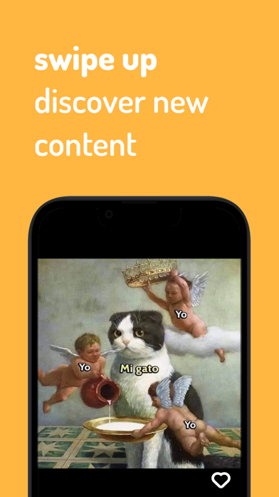 momolingo Screenshot