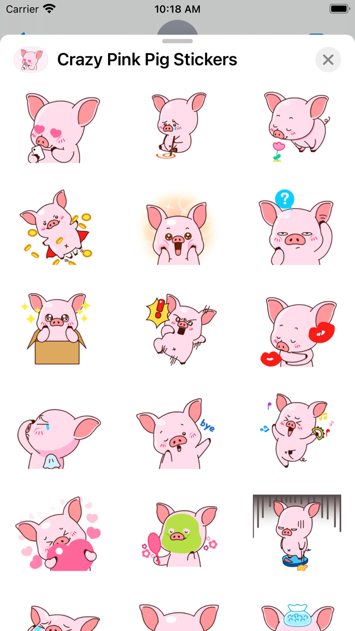 Crazy Pink Pig Stickers