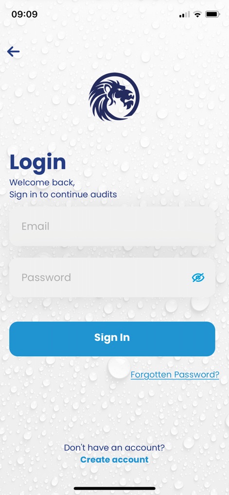 BICSc Audit - Business App | MWM
