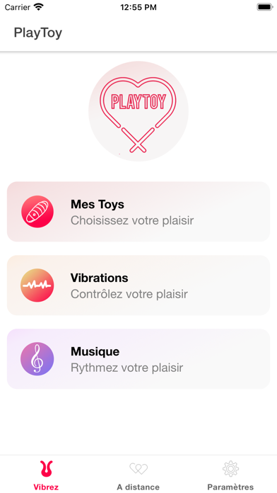 PlayToy Screenshot