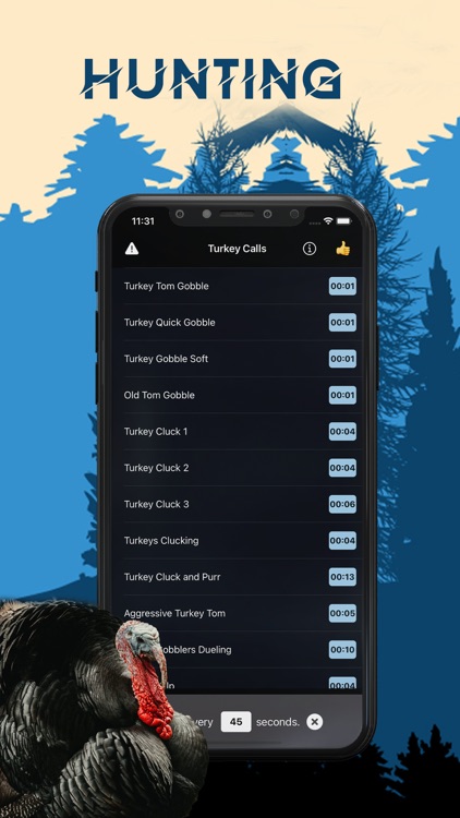 Turkey Magnet - Turkey Calls