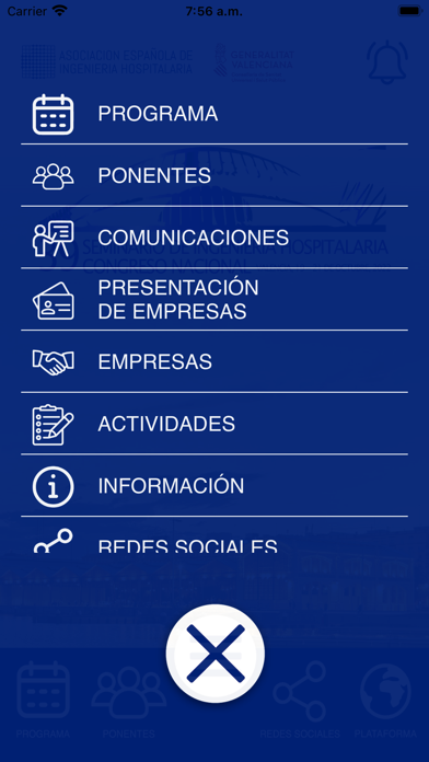 39 Seminario AEIH Screenshot