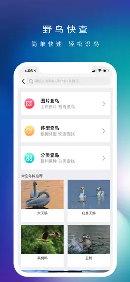 Game screenshot 爱鸟国际 hack