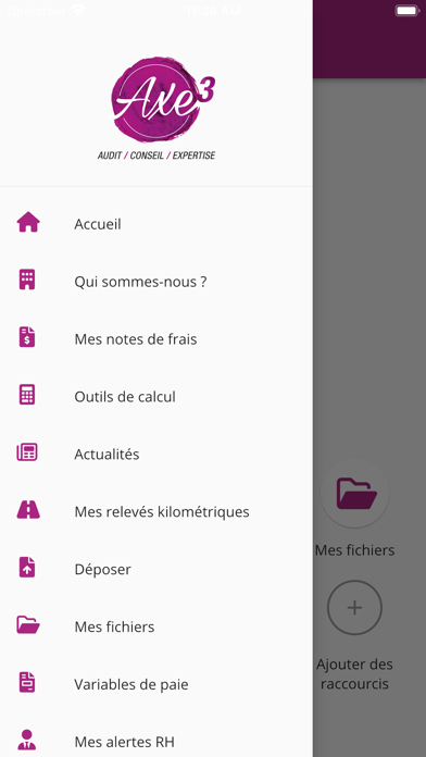 Screenshot #3 pour Axe 3 Expert-Comptable
