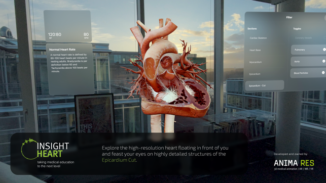 צילום מסך של INSIGHT HEART