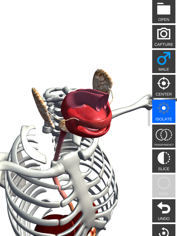 Anatomy Viewのおすすめ画像3