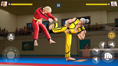 Karate Games : Kung Fu Legends Screenshot