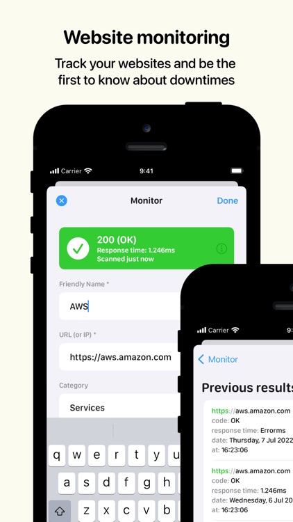 Down or Not: Website Monitor