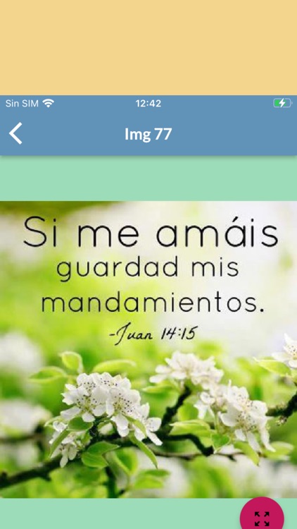 Versículos Bíblicos screenshot-6