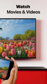 screen mirroring samsung tv problems & solutions and troubleshooting guide - 2