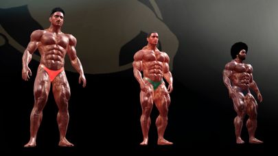 Iron Muscle Bodybuilding game Screenshot