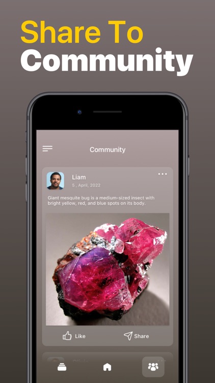 Stone Identifier Rock Scanner screenshot-3