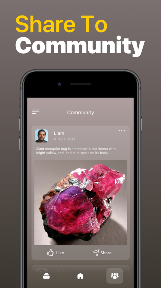 #4. Stone Identifier Rock Scanner (iOS) 由: Vu Xuan Loc