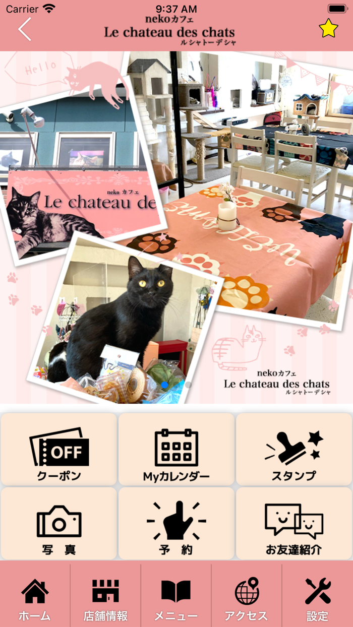 Le chateau des chats