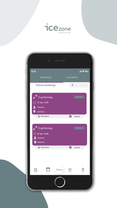 icezone Screenshot