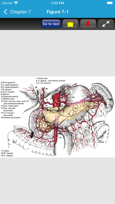 Zollinger Atlas of Surgery 11Eのおすすめ画像7