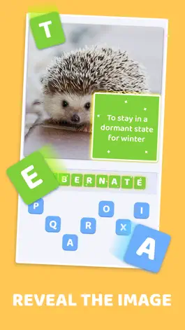 Game screenshot Word Pics - Trivia Puzzles apk