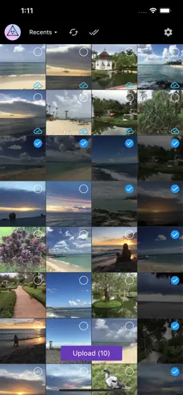 Game screenshot Photo Uploader for PhotoPrism mod apk
