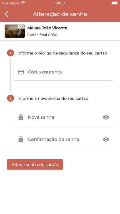 Meu Trabalhador screenshot-3