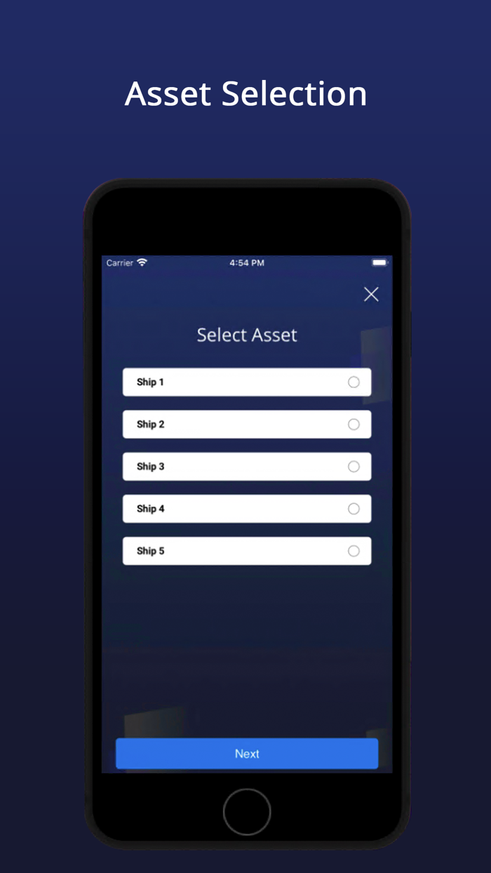 Asset Inspection  Audit