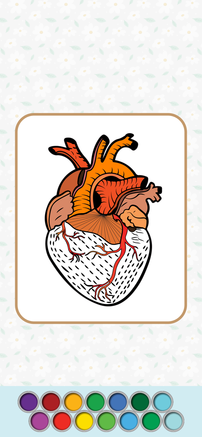 Anatomy Coloring Book.