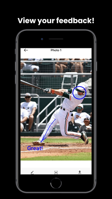 Homegrown Sports Screenshot