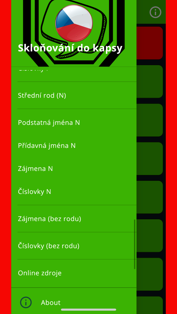Чешские склонения в кармане