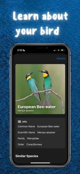 Game screenshot North American Bird Identifier apk