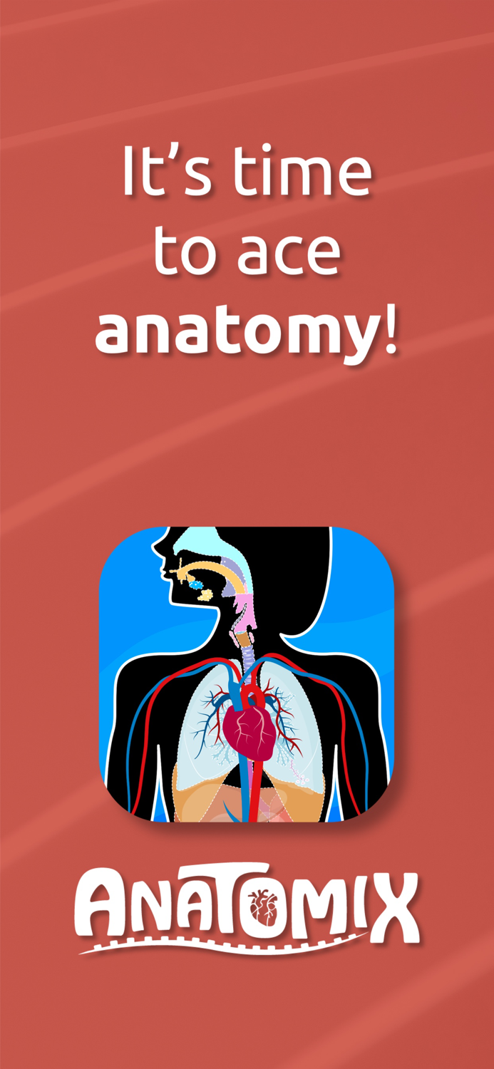 Anatomix - Human Body Game