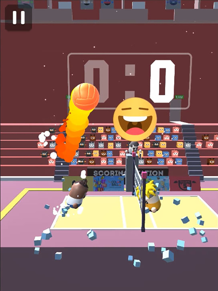 VolleyBall Tap 3D