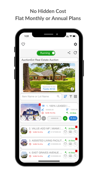 AuctionExt Screenshot