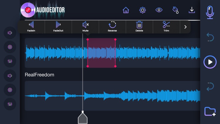 Audio Editor: Recording Studio