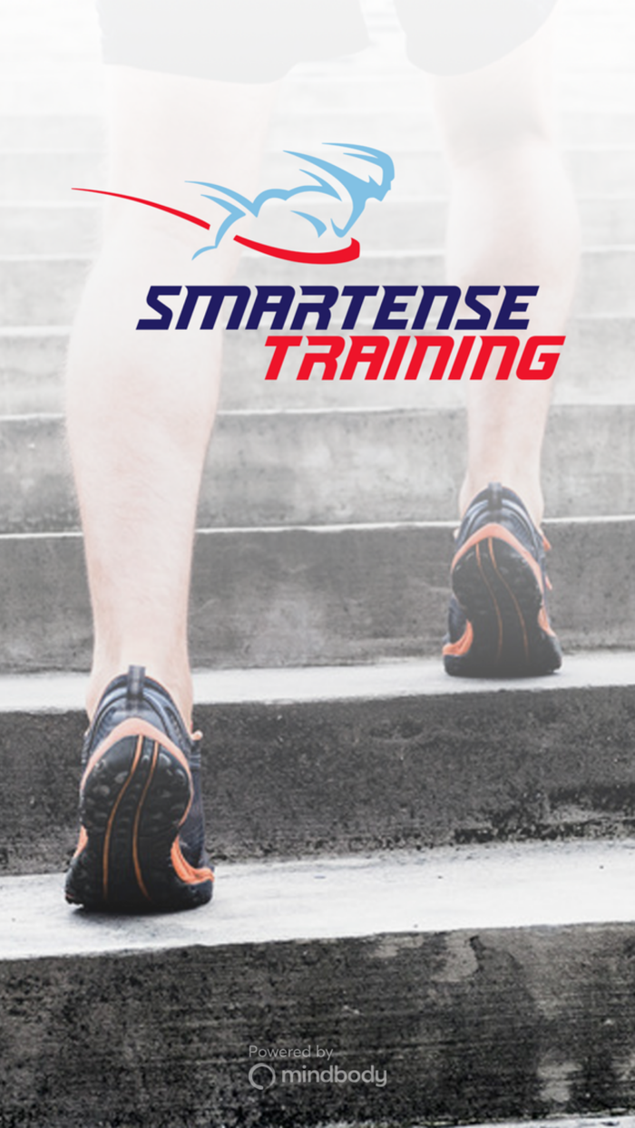 SmarTense Training