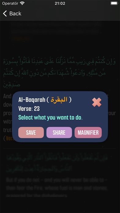 The Quran - Surahs and Verses Screenshot