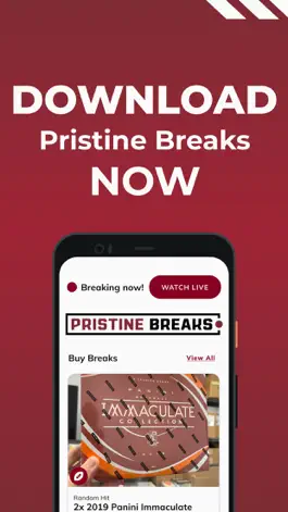 Game screenshot Pristine Breaks mod apk