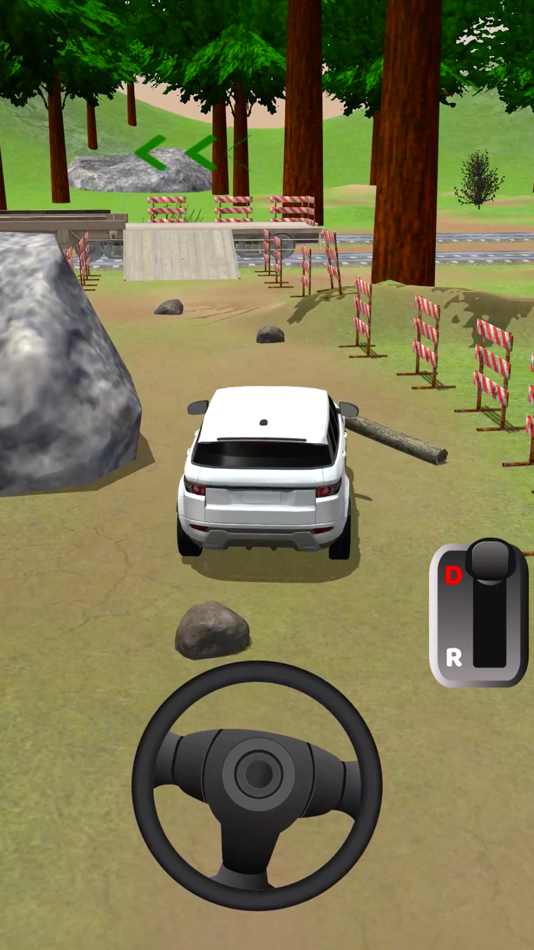 #1. Real Drive 3D Parking Games (iOS) 来自: TapNation