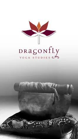 Game screenshot Dragonfly Yoga Studies mod apk